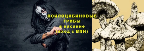стаф Володарск