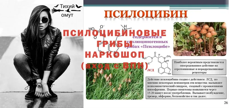 где можно купить   даркнет официальный сайт  Псилоцибиновые грибы GOLDEN TEACHER  Геленджик 