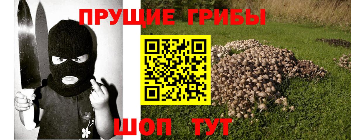 Галлюциногенные грибы ЛСД  Вход с VPN  Геленджик 
