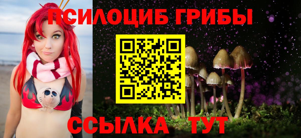 Галлюциногенные грибы Psilocybine cubensis Геленджик