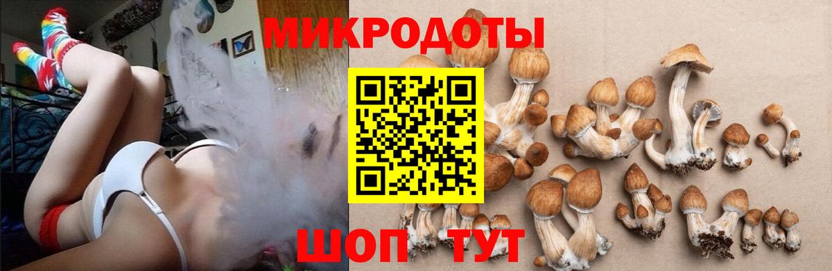 Галлюциногенные грибы MAGIC MUSHROOMS  Геленджик  Галлюциногенные грибы Psilocybe 