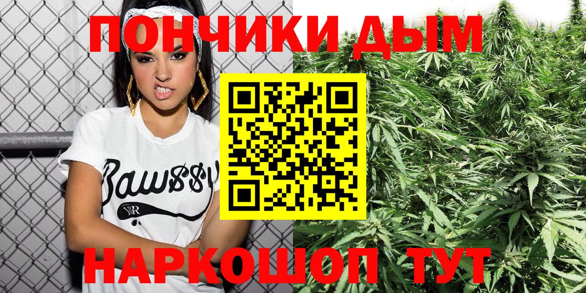 Шишки марихуана конопля Геленджик